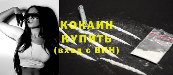 кокс Алексин